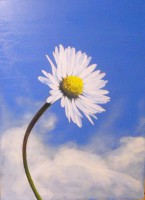 /album/kogler-art/dscf4965-jpg/